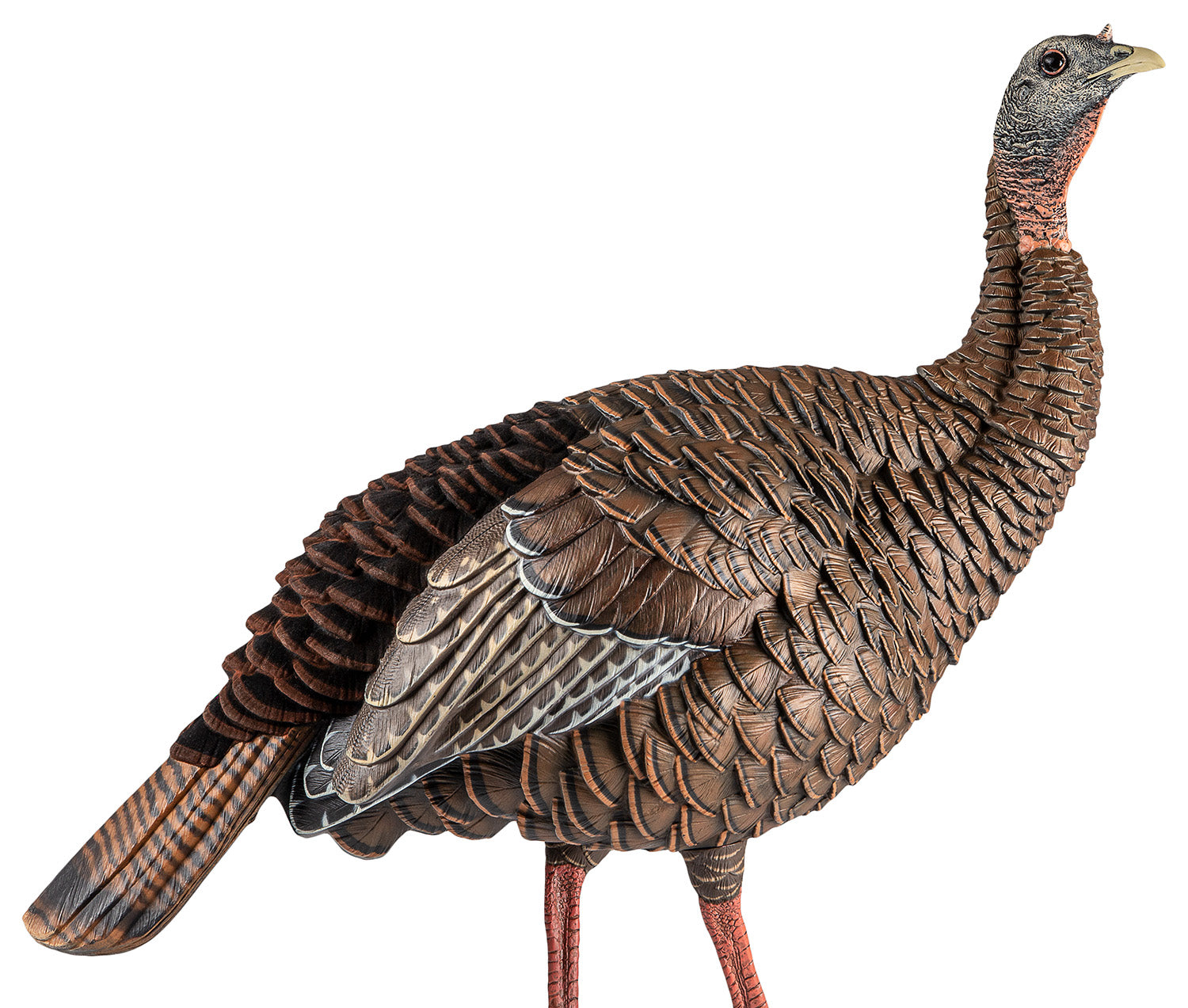 Avian-X Heavy-Duty Realism Hen Turkey Hunting Decoy Multi Color
