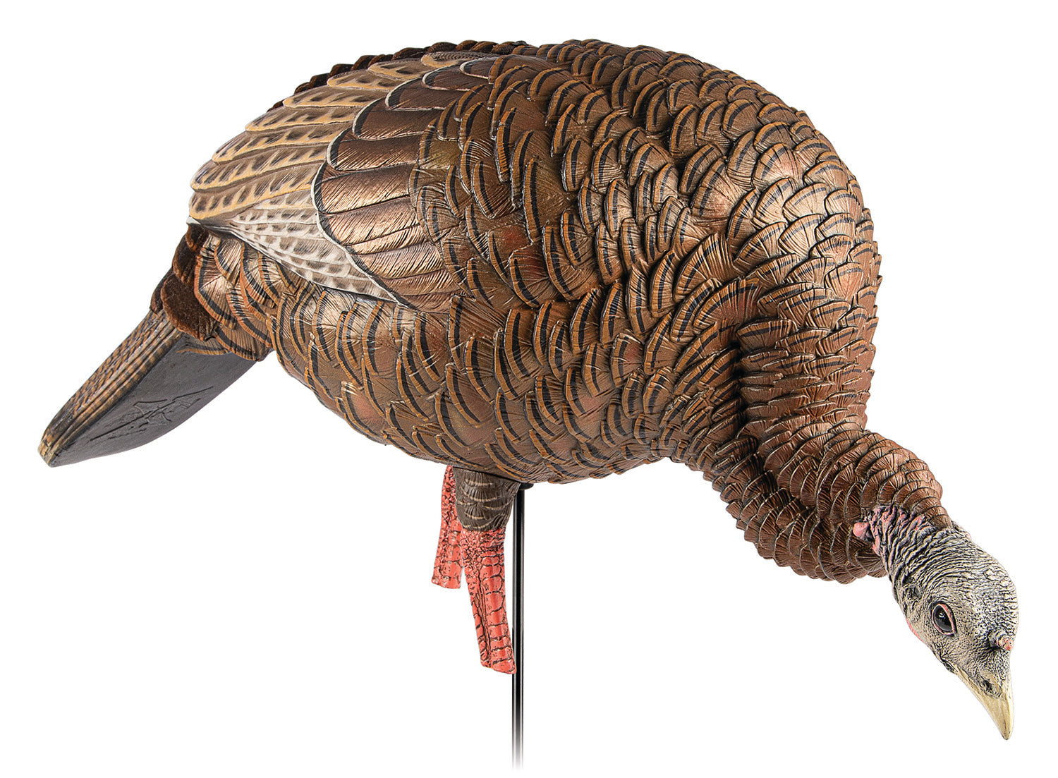 Avian-X Heavy-Duty Realism Feeding Hen Turkey Hunting Decoy