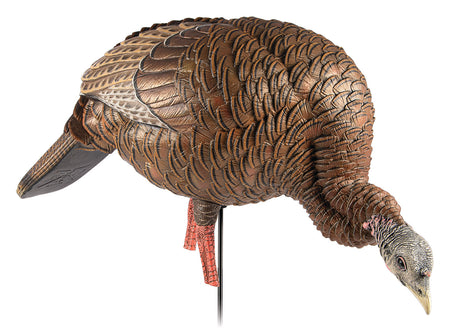 Avian-X Heavy-Duty Realism Feeding Hen Turkey Hunting Decoy