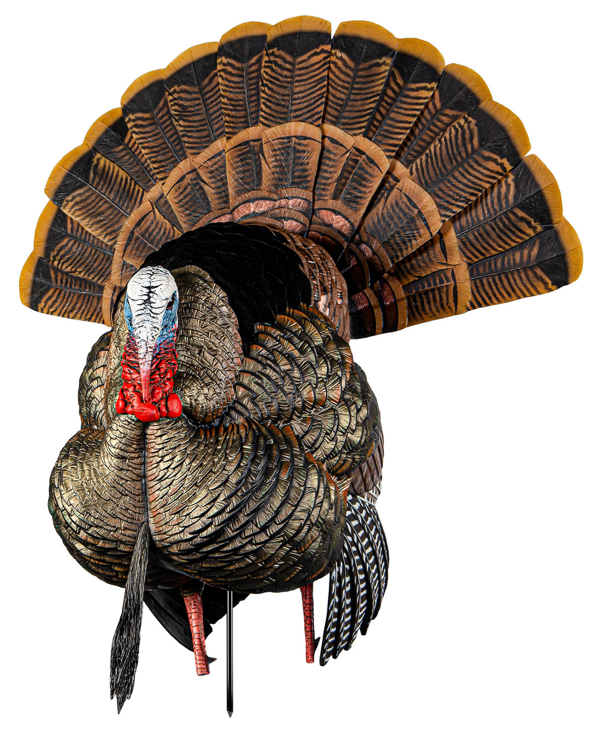 Avian-X Heavy-Duty Realism Strutter Turkey Hunting Decoy Adjustable Fan