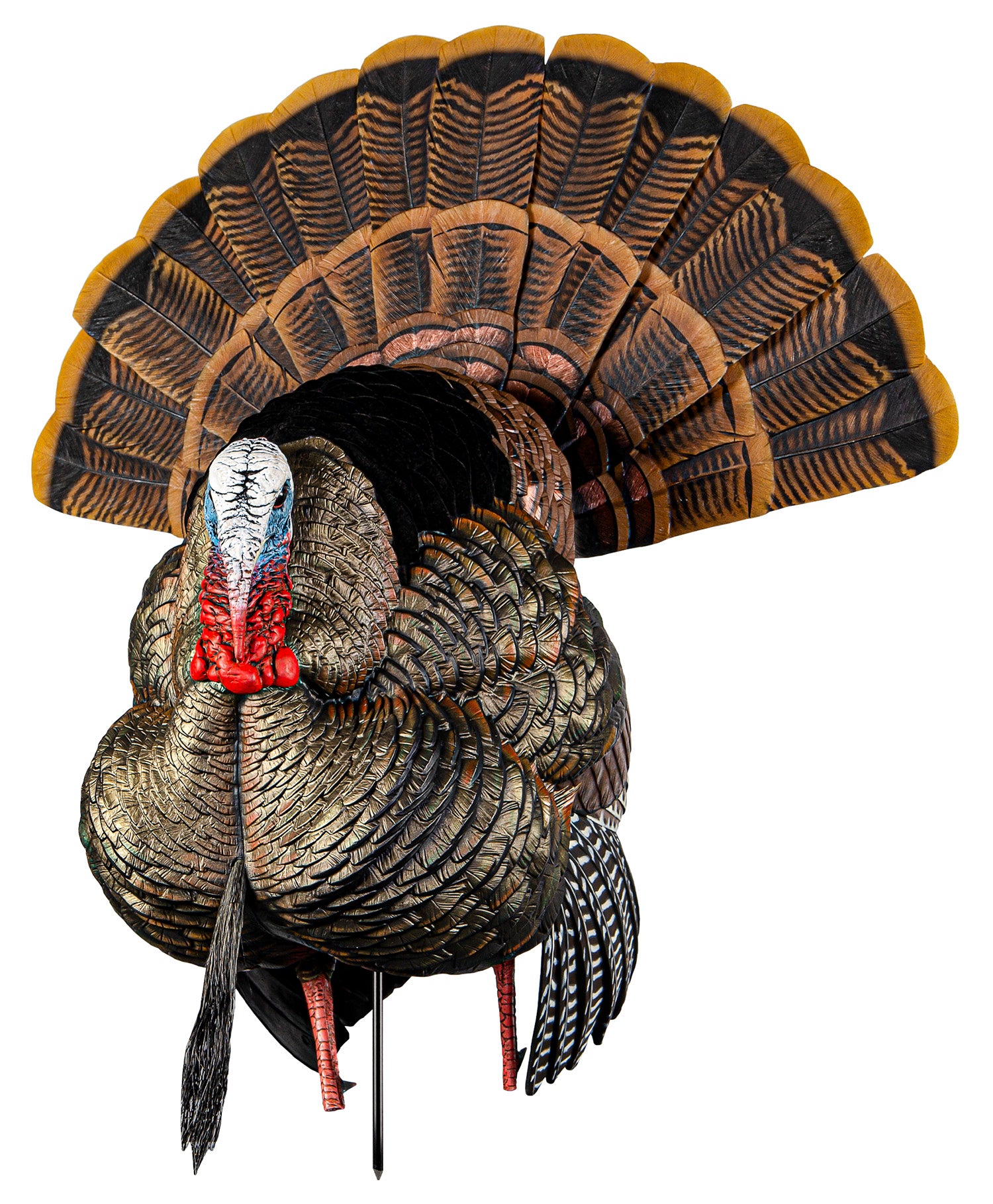 Avian-X Heavy-Duty Realism Strutter Turkey Hunting Decoy Adjustable Fan