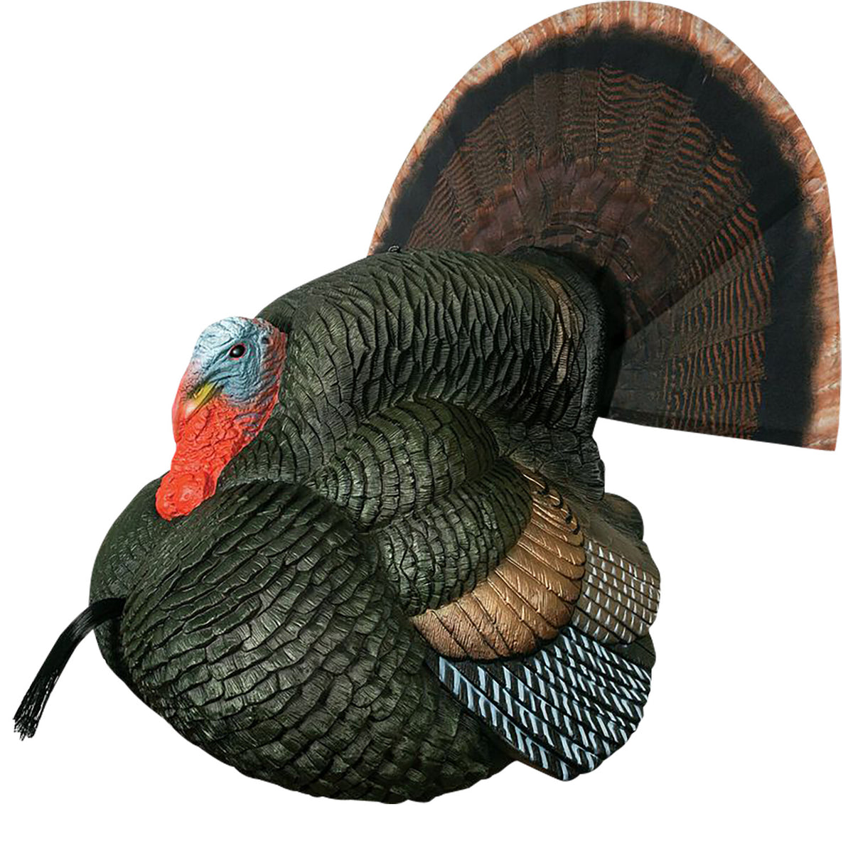 Primos 69076 Lil' Gobblestopper Turkey Strutter Box Call