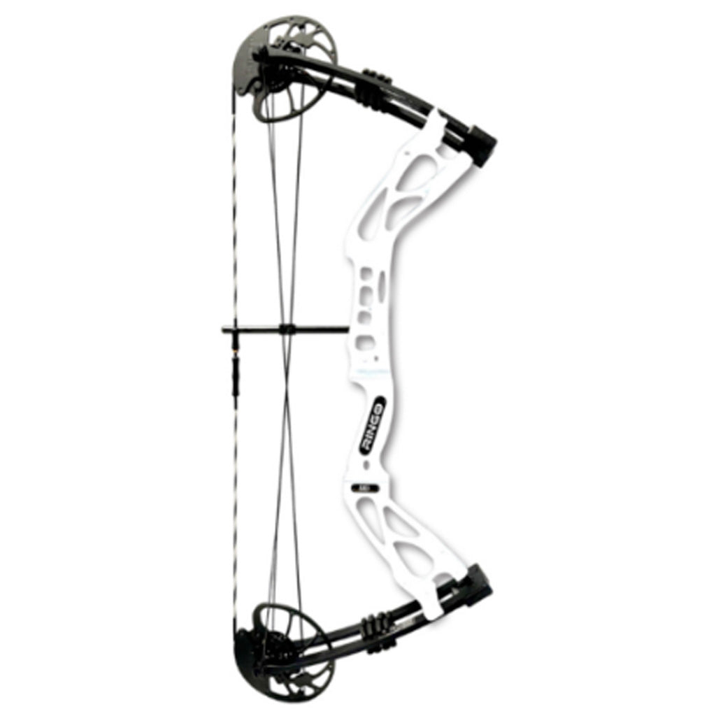 AMS RINGO Bowfishing Bow RH Compound