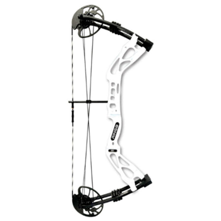 AMS RINGO Bowfishing Bow RH Compound
