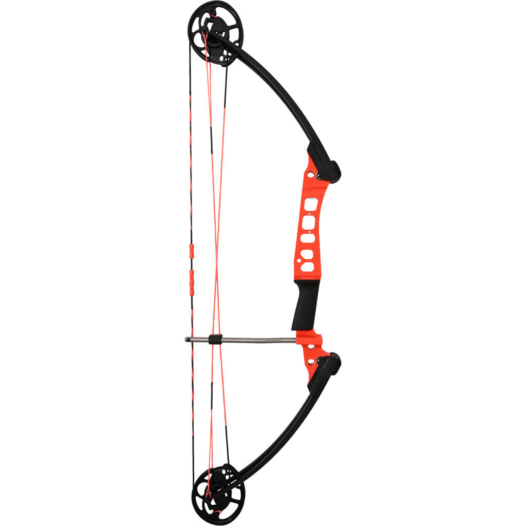 AMS Hooligan V2 Bowfishing Bow 24 to 50 lb. RH Dual Cam