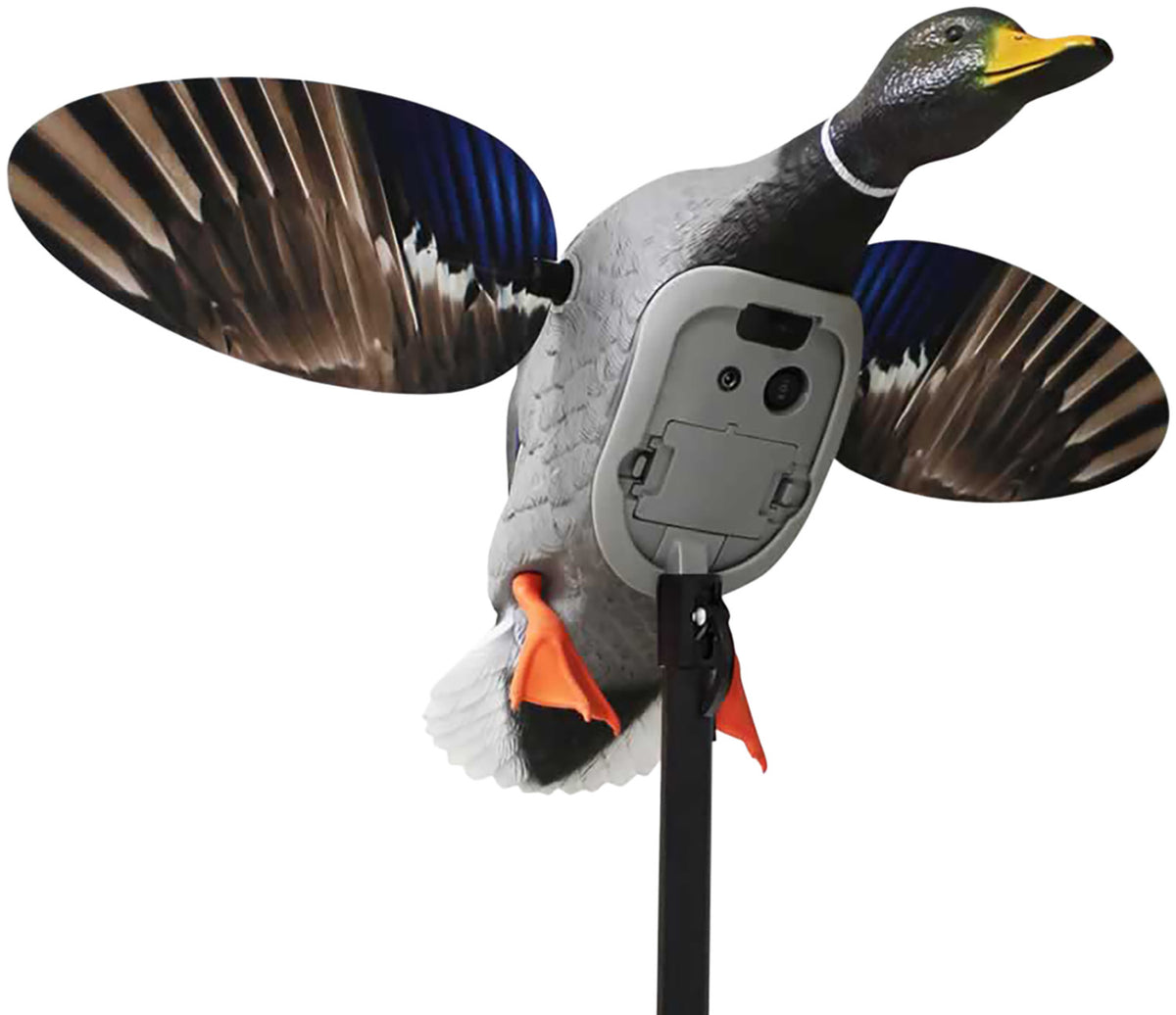 Mojo Outdoors HW2520 King Mallard Elite Series Decoy with Built-In Remote Receiver, Plastic