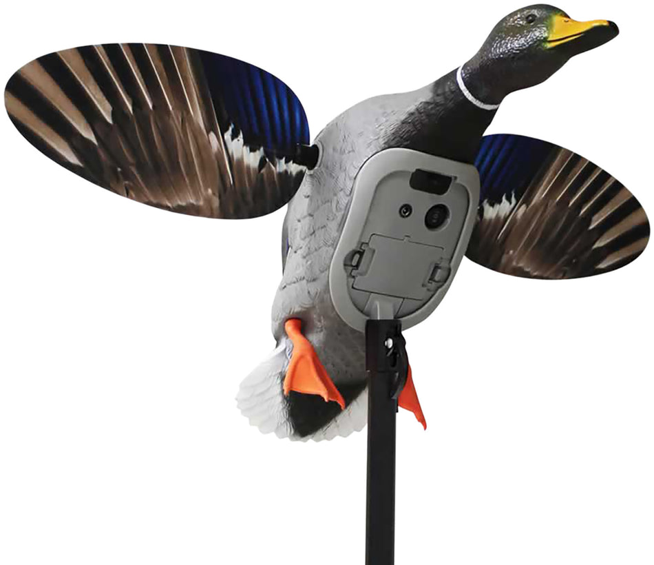 Mojo Outdoors HW2520 King Mallard Elite Series Decoy with Built-In Remote Receiver, Plastic