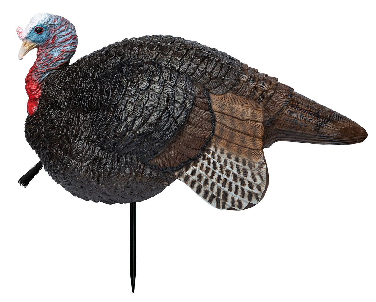 Primos 69074 Lil' Gobstopper Jake Collapsible Turkey Decoy, Multi Color