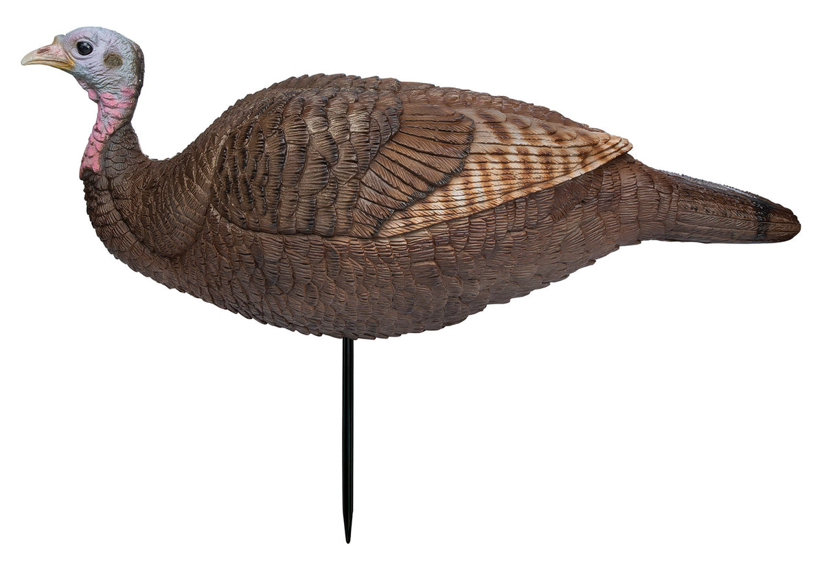 Primos 69073 Lil Gobstopper Small Hen Turkey Species Decoy, Multi Color