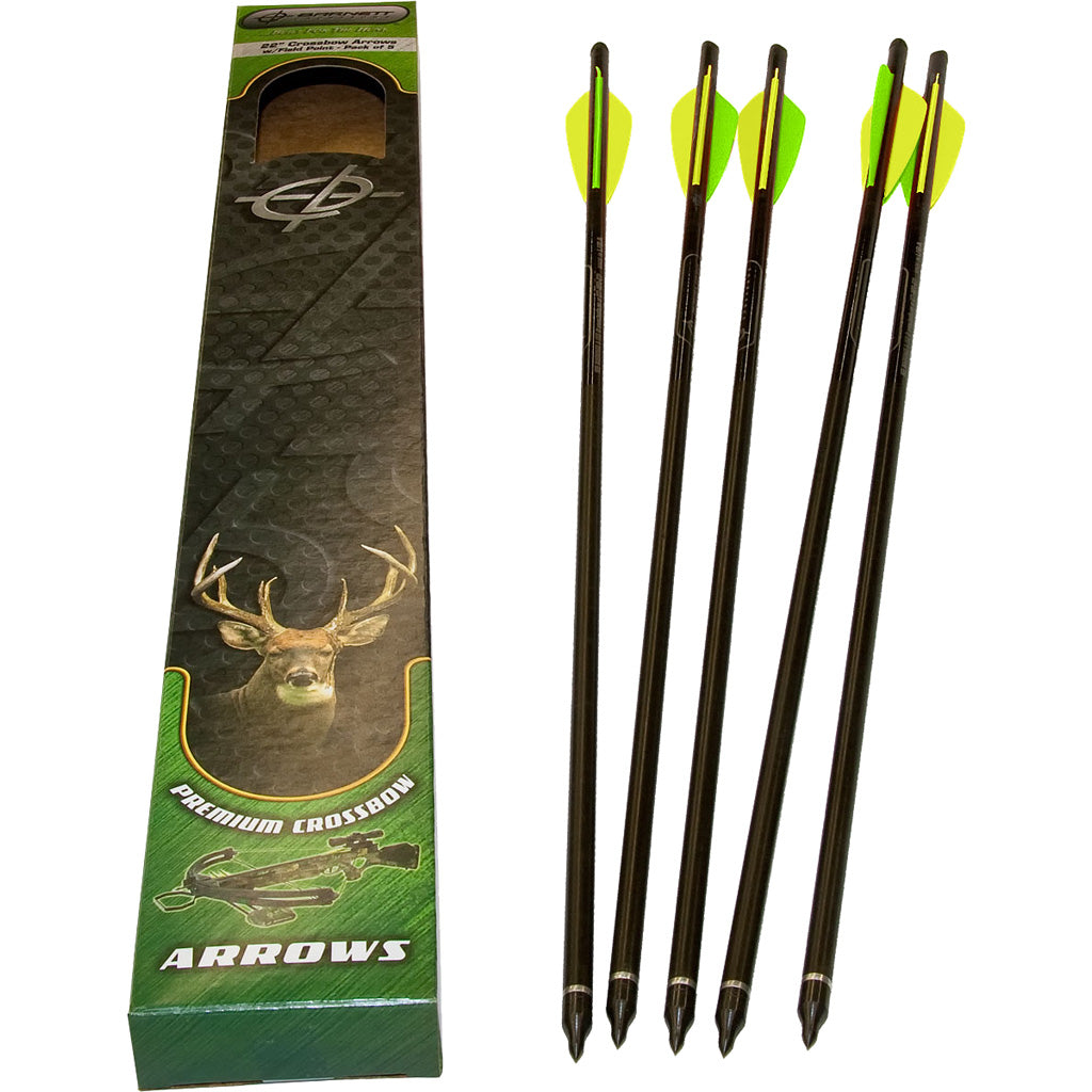Barnett Head Hunter Carbon Bolts 20 in. with Field Points 5 pk.