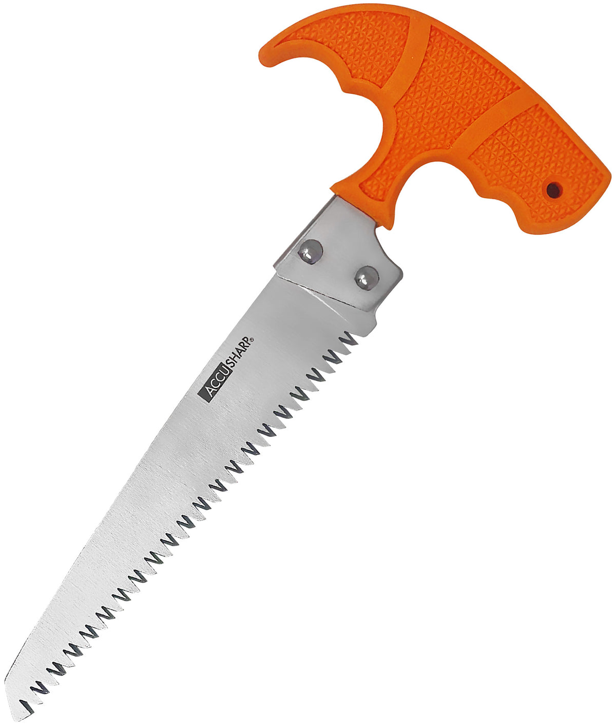 AccuSharp 730C 6" Field Bone Saw Fixed Stainless Blade - Blaze Orange T-Shaped Handle with Nylon Belt Carry Sheath