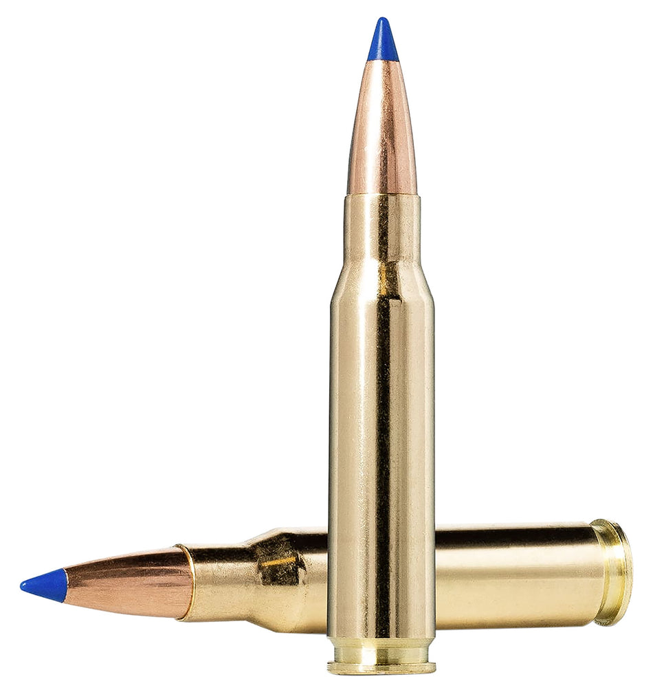 Norma Dedicated Hunting Bondstrike Bonded Polymer Tip 180 Grain .308 Win / 7.62x51mm 2625 fps 7393923322100