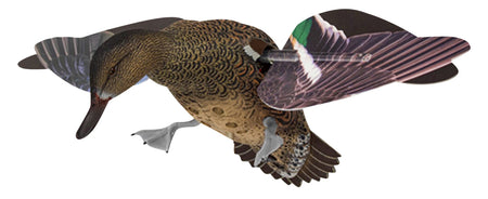Avian X AVXPFLHT Green-Winged Teal Hen Motorized Spinning Wing Decoy