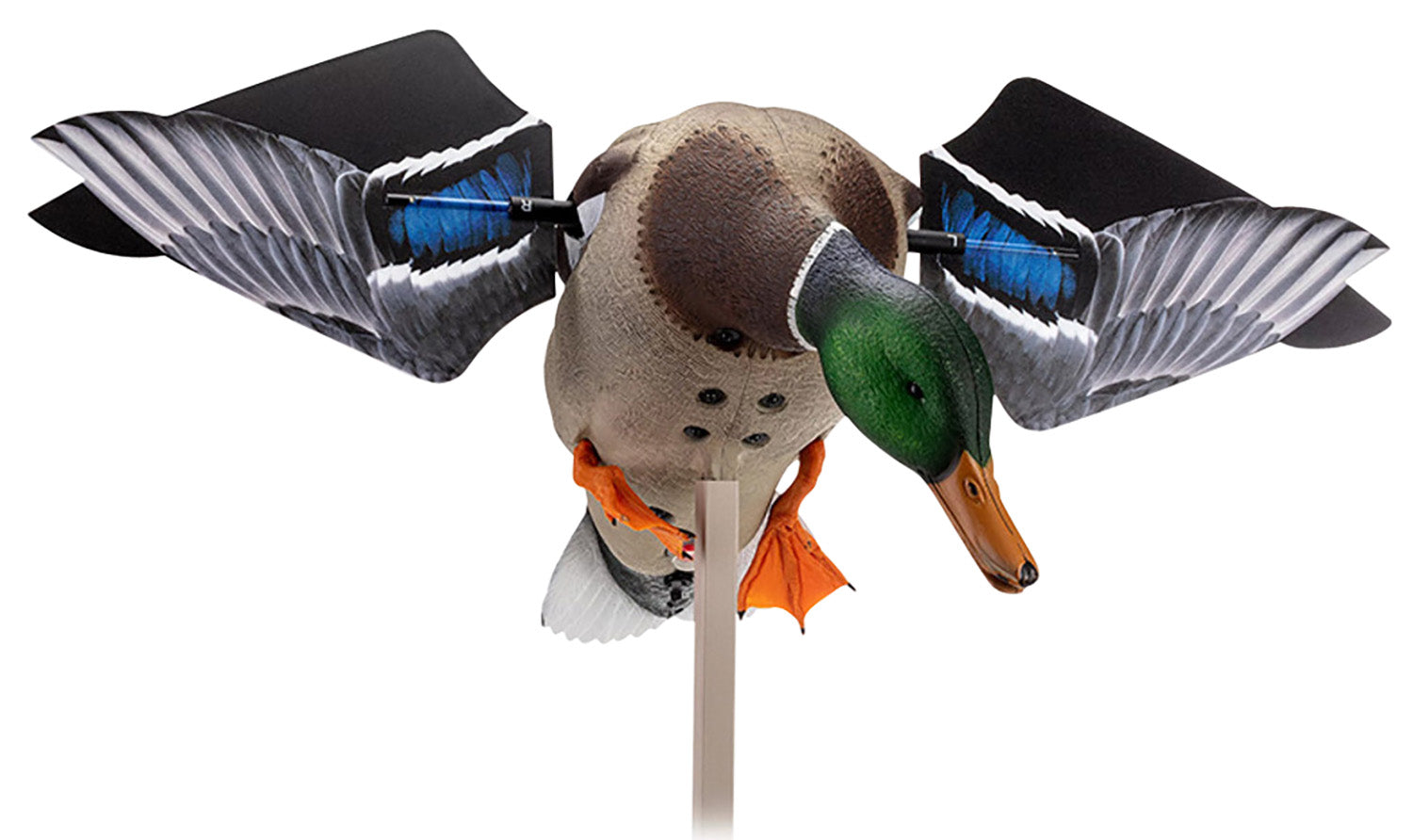 Avian X AVXAVXDP100 Smart Motion Mallard Drake Motorized Duck Decoy with Remote