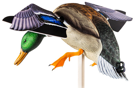 Avian X AVXAVXDP101 PowerFlight Mallard Duck Spinning Wing Decoy Multi-Color with Remote