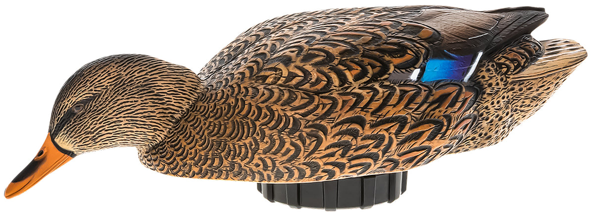 Avian X AVXPSHMHSF Power Shaker Mallard Hen Surface Feeding Motion Decoy