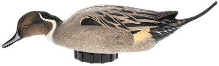 Avian X AVXPSHPNSF Power Shaker Pintail Surface Feeding Motion Duck Decoy