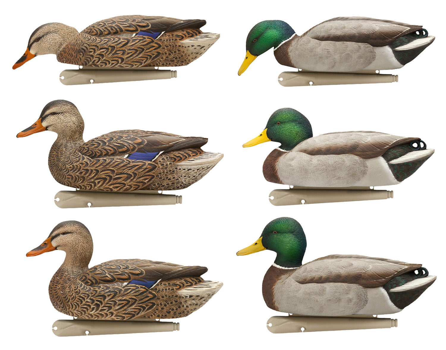 Avian X AVXAVX8076 Topflight Fusion Mallard Duck Decoys 6 Pack Multi-Color