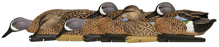 Avian X AVXAVX8080 Topflight Floating Blue-Winged Teal Duck Decoys 6-Pack