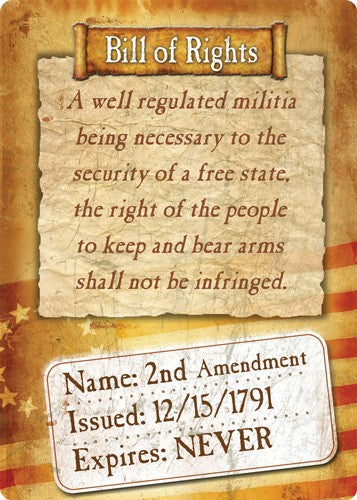 Rivers Edge Decorative Bill of Rights Weatherproof Tin Sign 12x17