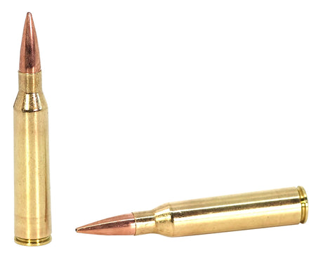 Sako TRG Precision MatchKing Hollow Point Boat Tail 300 Grain .338 Lapua Magnum  082442959597