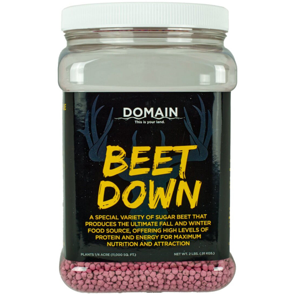 Domain Beet Down Annual Sugar Beet Seed - 1/4 Acre Coverage