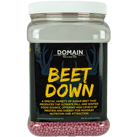 Domain Beet Down Annual Sugar Beet Seed - 1/4 Acre Coverage