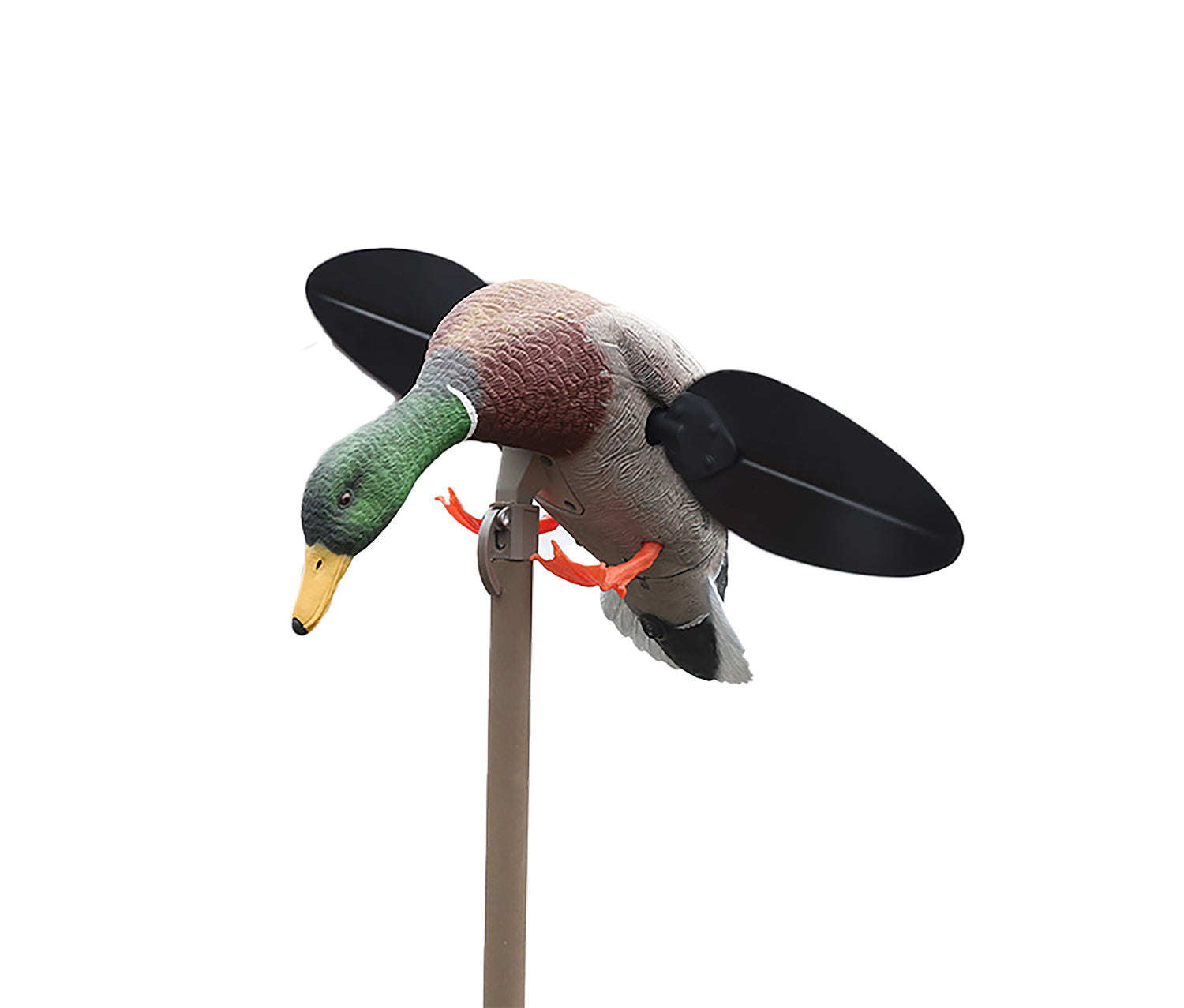 Mojo Outdoors HW2547 Mallard Lite Duck Decoy with AA Battery Holder Option, Multi-Color