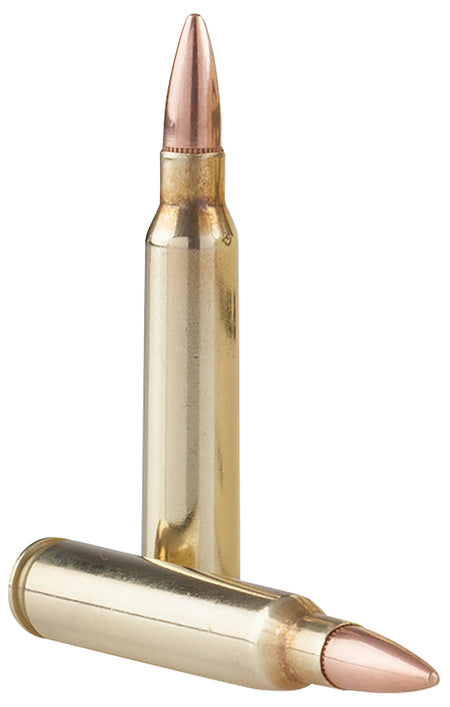 Prvi Partizan 5.56x45mm NATO Tr&z Range Master 55 grain Full Metal Jacket Boat Tail ammunition