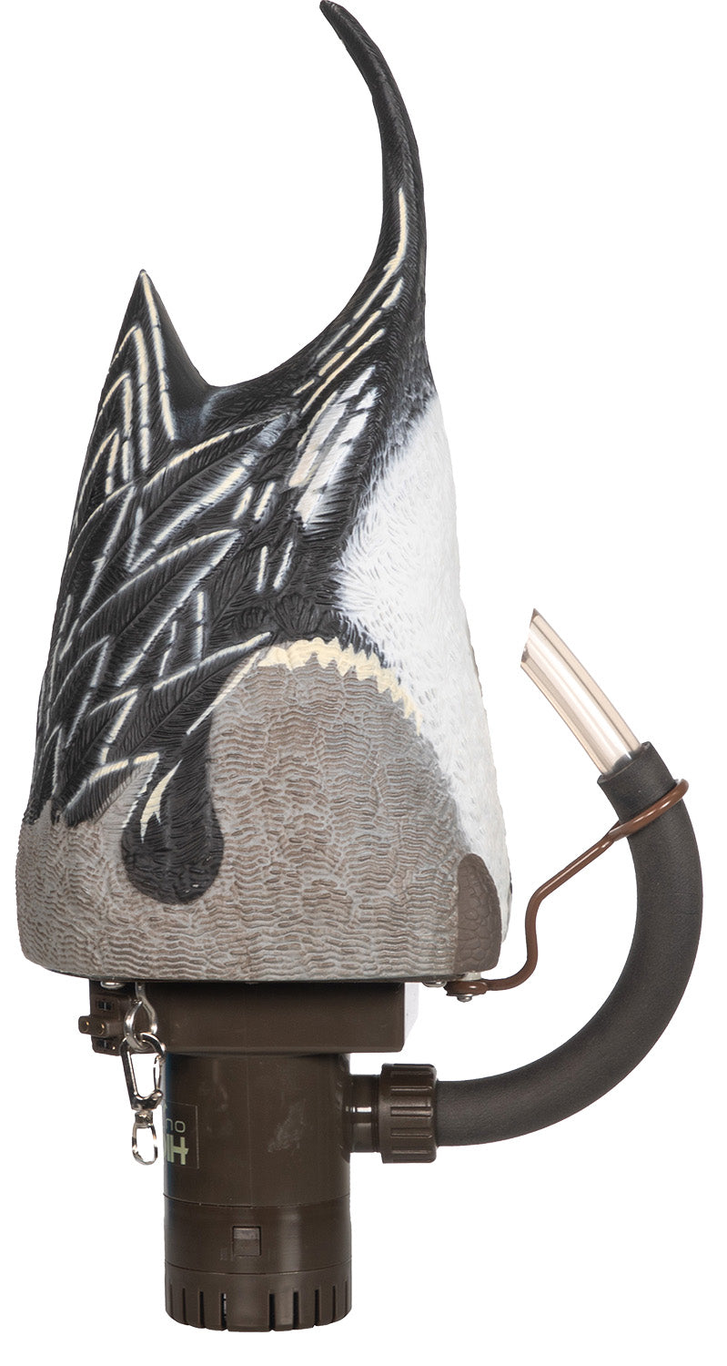 Higdon Outdoors 54573 Pintail Pulsating Motion Duck Decoy Species