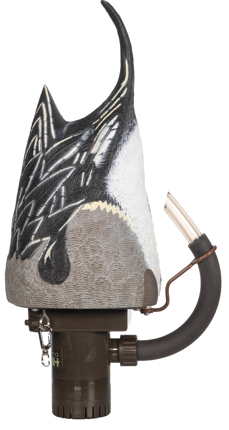 Higdon Outdoors 54573 Pintail Pulsating Motion Duck Decoy Species