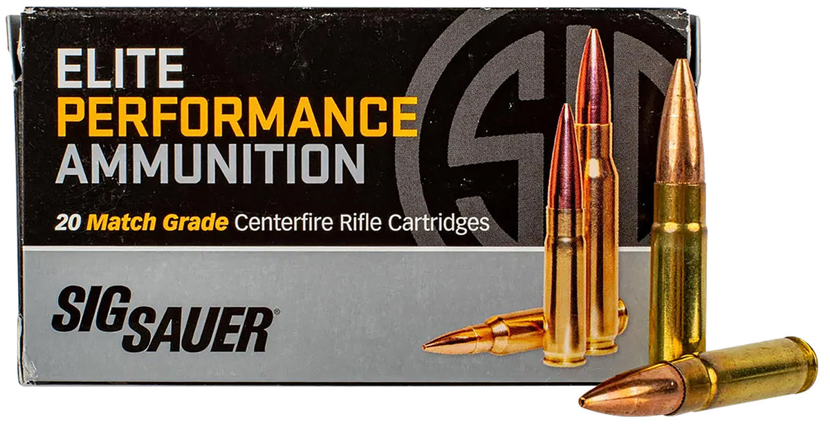 Sig Sauer .300 AAC Blackout Subsonic tactical rifle 194 grain Hollow Point Boat Tail ammunition