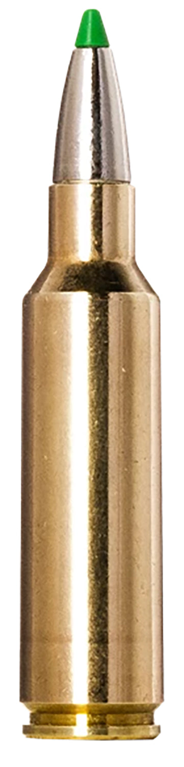 Norma .300 WSM Ecostrike 165 grain Boat Tail ammunition