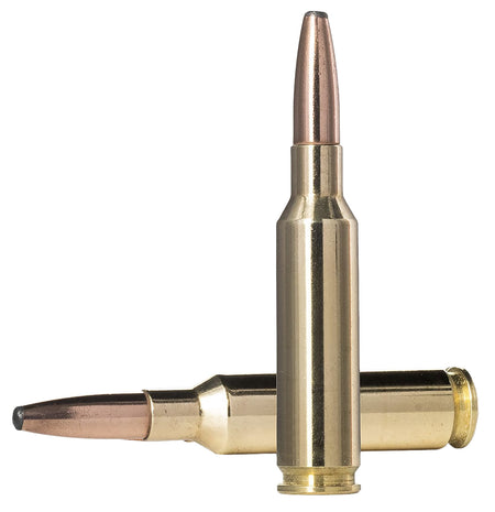 Norma Oryx Bonded Soft Point 156 Grain 6.5mm Creedmoor  7393923324548