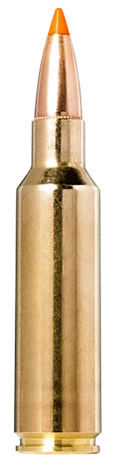 Norma Tipstrike  170 Grain .300 WSM  7393923321165