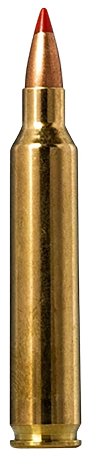 Norma .204 Ruger Tipstrike 40 grain V-Max ammunition