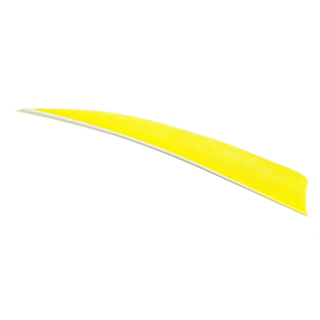 Trueflight Shield Cut Feathers 5 Inch Chartreuse Right Wing 100 Count