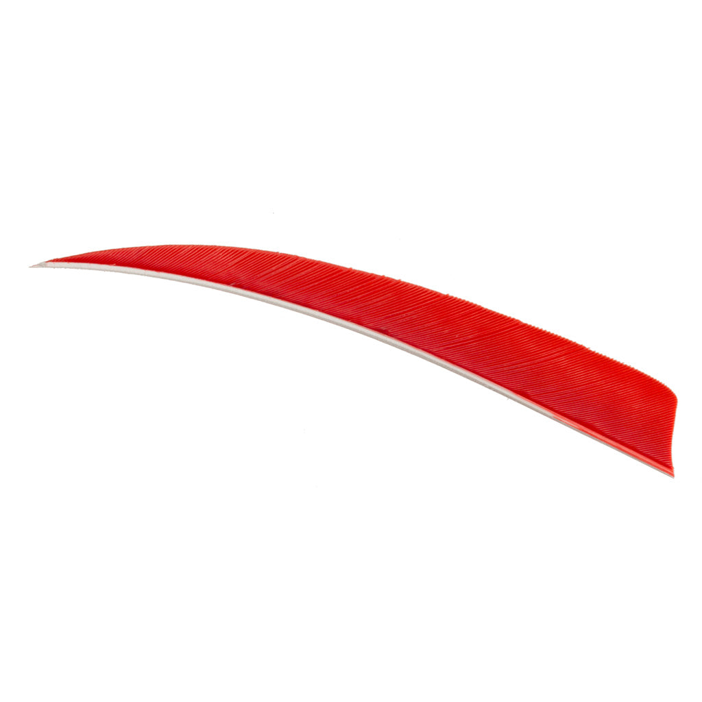 Trueflight Shield Cut Feathers 5 Inch Red Right Wing 100 Count