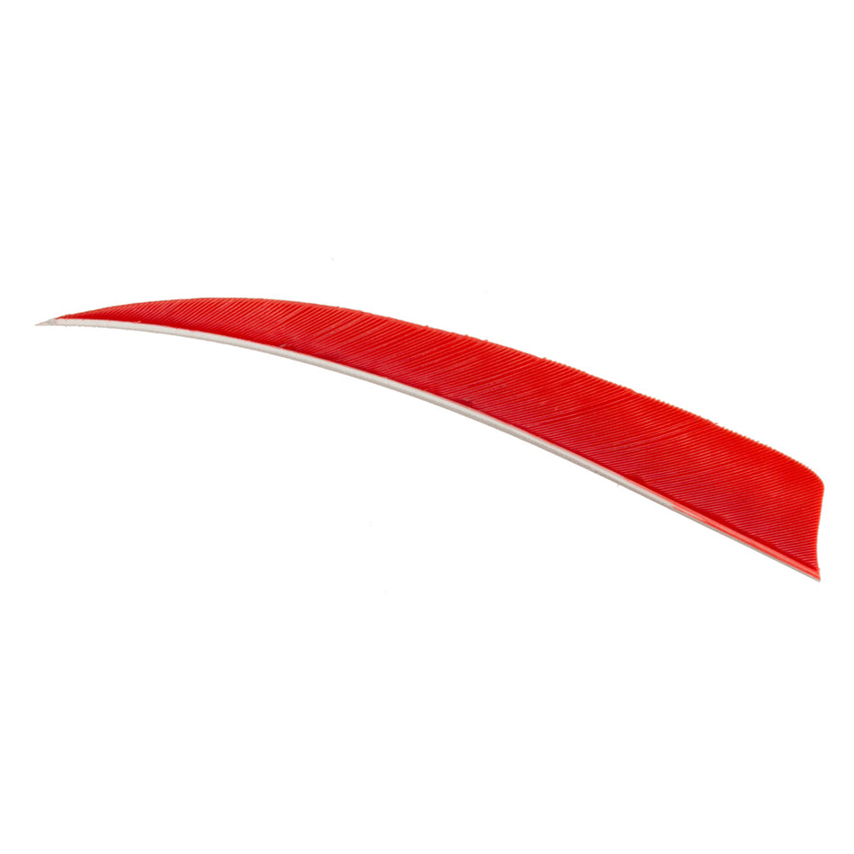 Trueflight Shield Cut Feathers 4 Inch Red Right Wing 100 Count