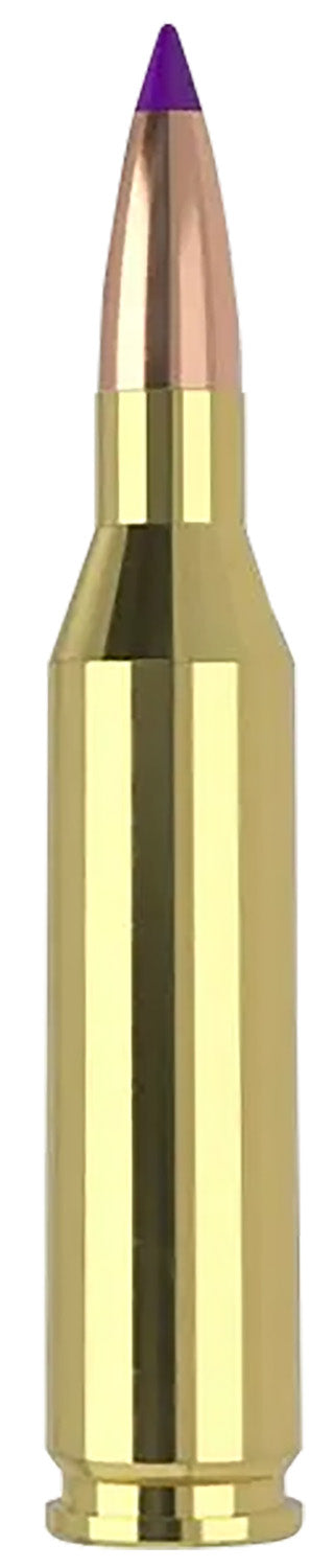 Nosler .243 Winchester Ballistic Tip 70 grain SP ammunition