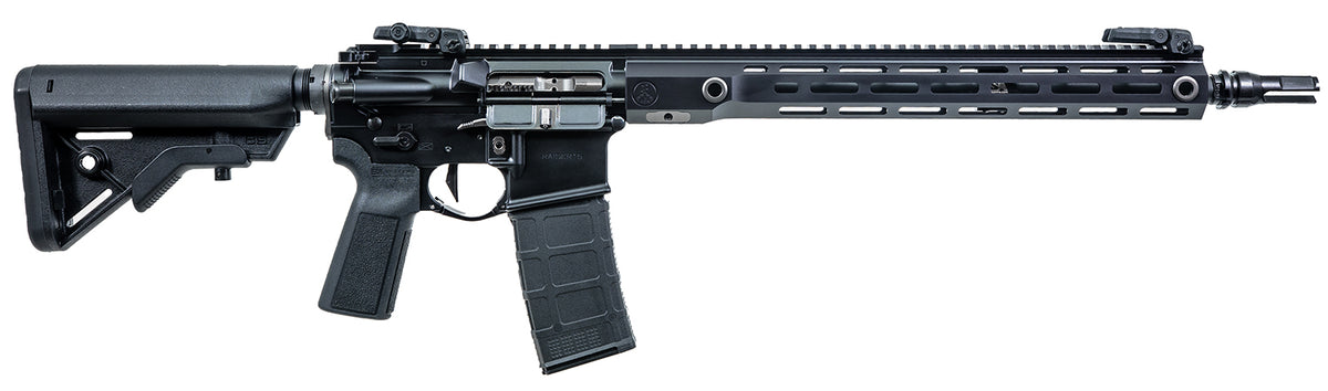 Watchtower Firearms RDRX55614BLK Raider X 5.56 NATO 30+1 14.50" Black Nitride Threaded Barrel, Hard Coat Anodized Aluminum Receiver, Black Polymer Stock, B5 Grip