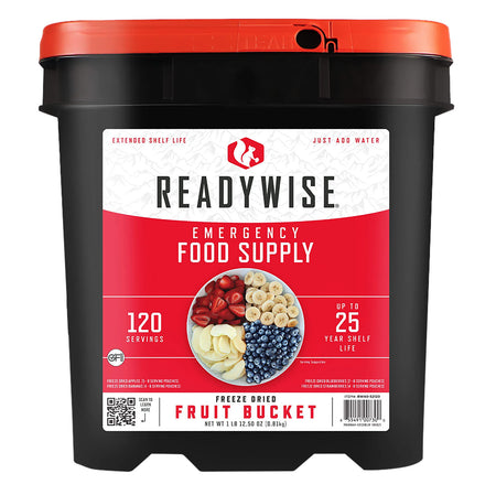 Wise Foods RW4052120 Freeze Dried Fruit Variety Pack 120 Servings