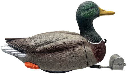 Mojo Outdoors HW2554 Mallard Drake Dabbler Duck Hunting Decoy