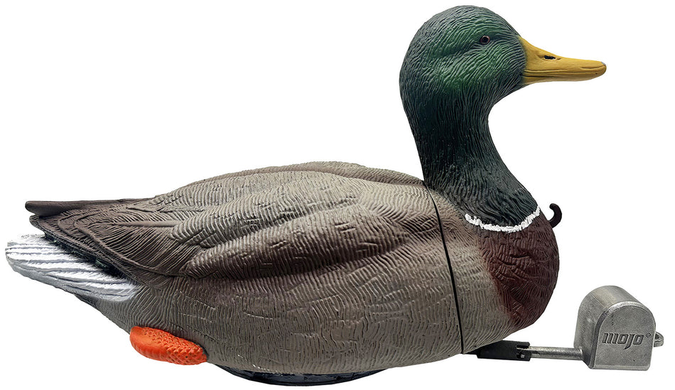 Mojo Outdoors HW2554 Mallard Drake Dabbler Duck Hunting Decoy