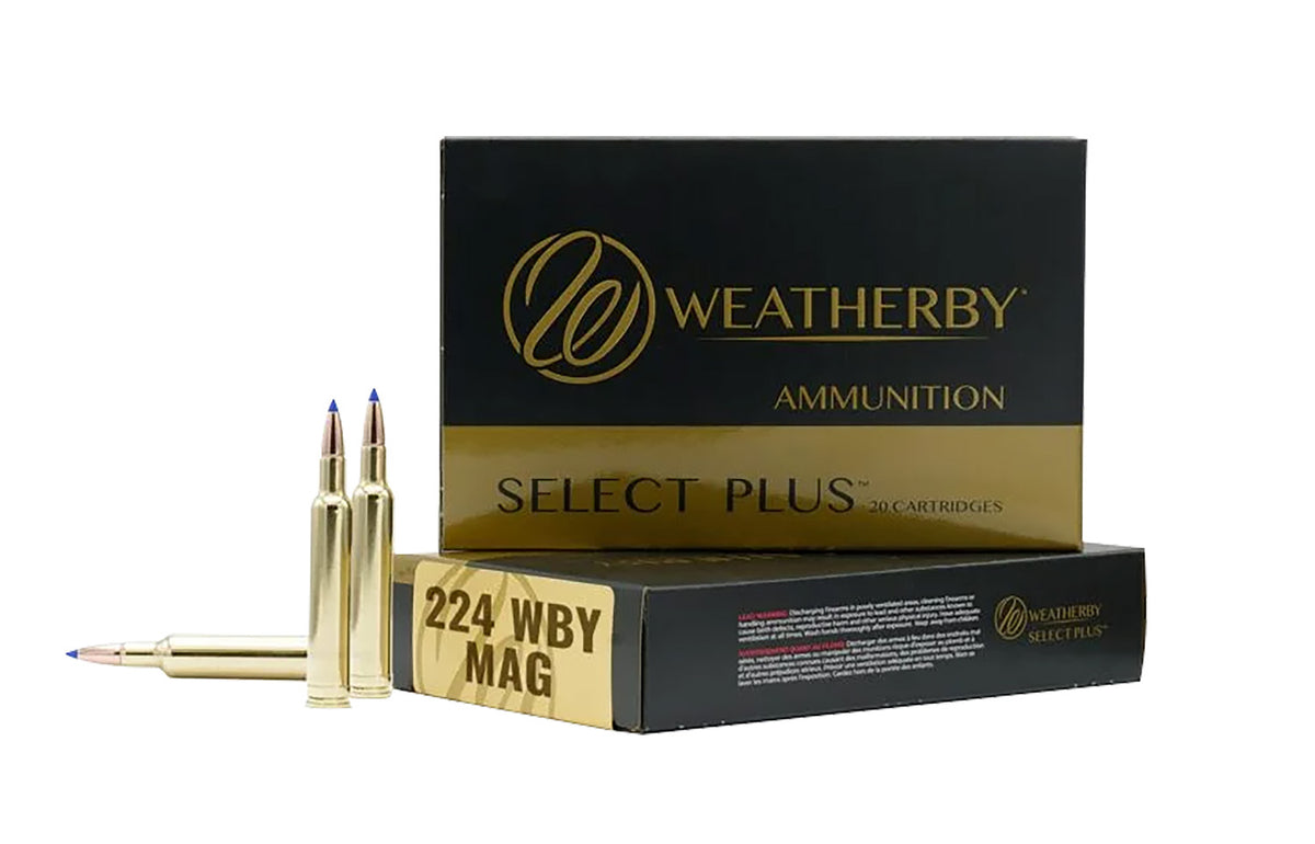 Weatherby .224 Weatherby Mag  81 grain Jacketed Hollow Point ammunition