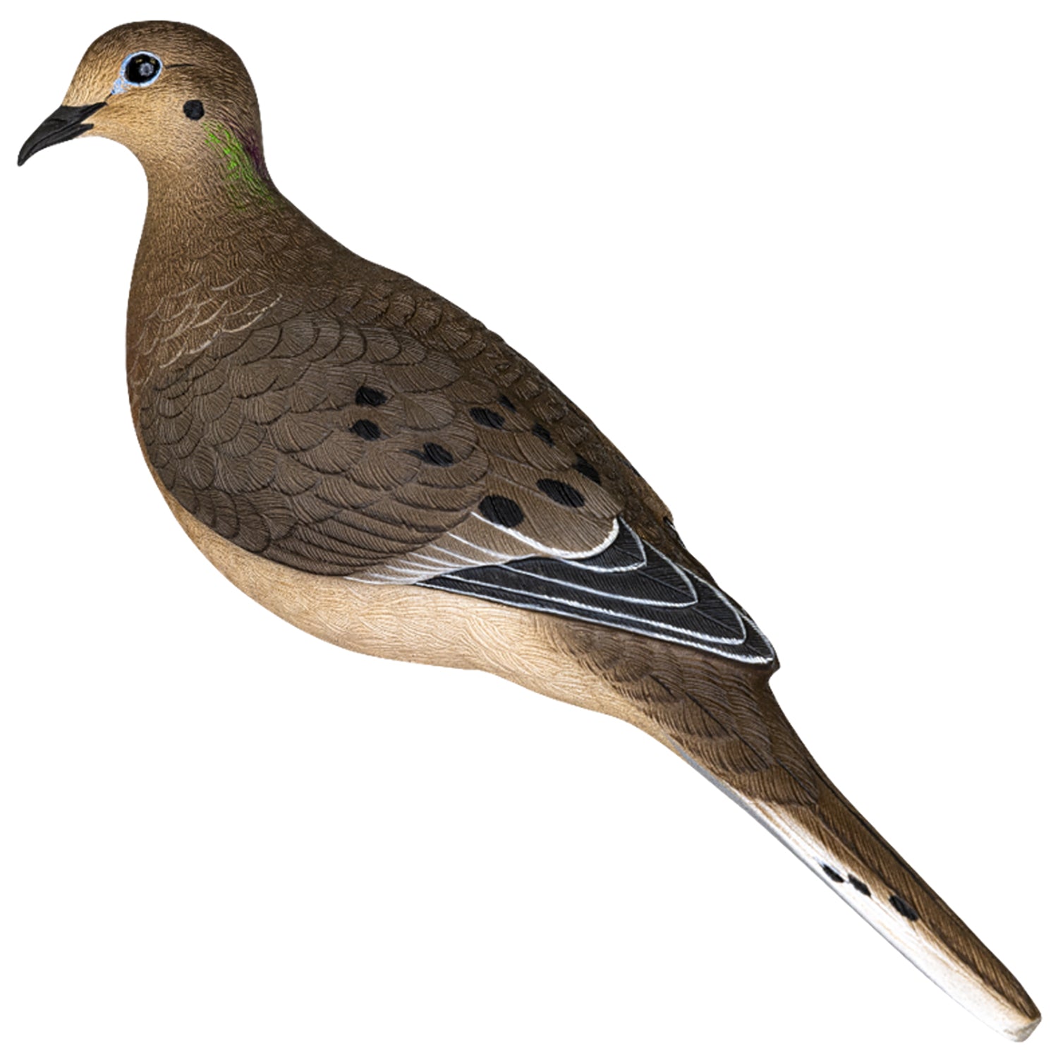 Avian X AVX-DOVE-6PK 6-Pack Full Body Dove Multi-Color Decoy with Stakes