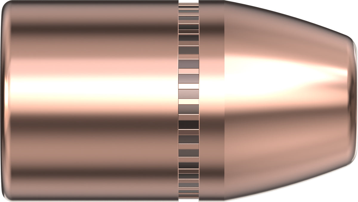 Hornady 45 Caliber 300 Grain DGH .452 Diameter Bullets
