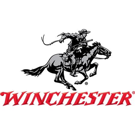 Winchester .25 ACP Hollow Point 45 grain Hollow Point ammunition