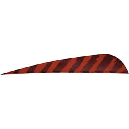 Gateway Barred Red 4 in. Parabolic Feathers Right Wing 50 Count