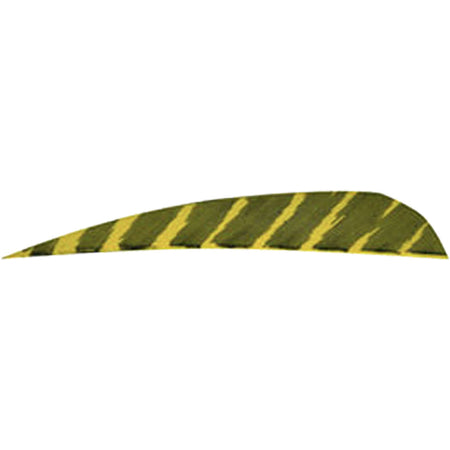 Gateway Barred Yellow 4 in. Parabolic Feathers Right Wing 50 Count
